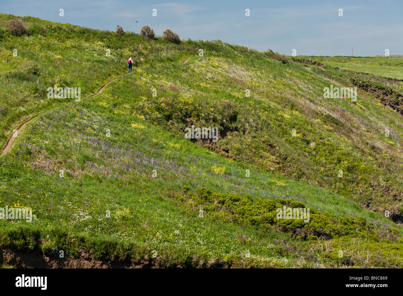 Lizard peninsula cornwall spring hi-res stock photography and images ...
