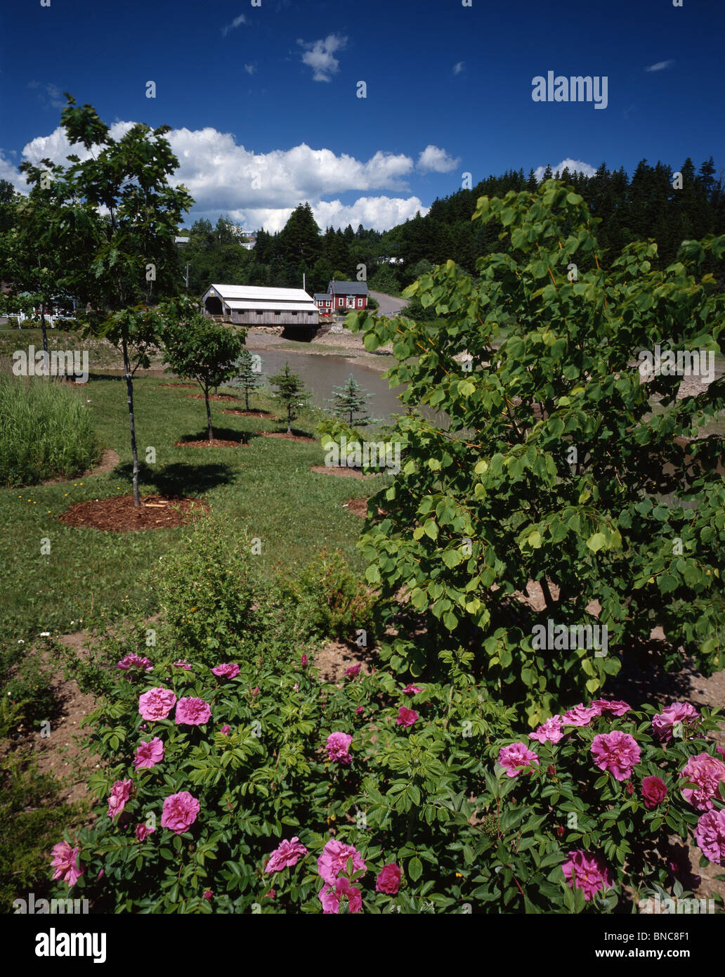 Covered Bridge with Spring Foliage,Canada Stock Photo - Alamy