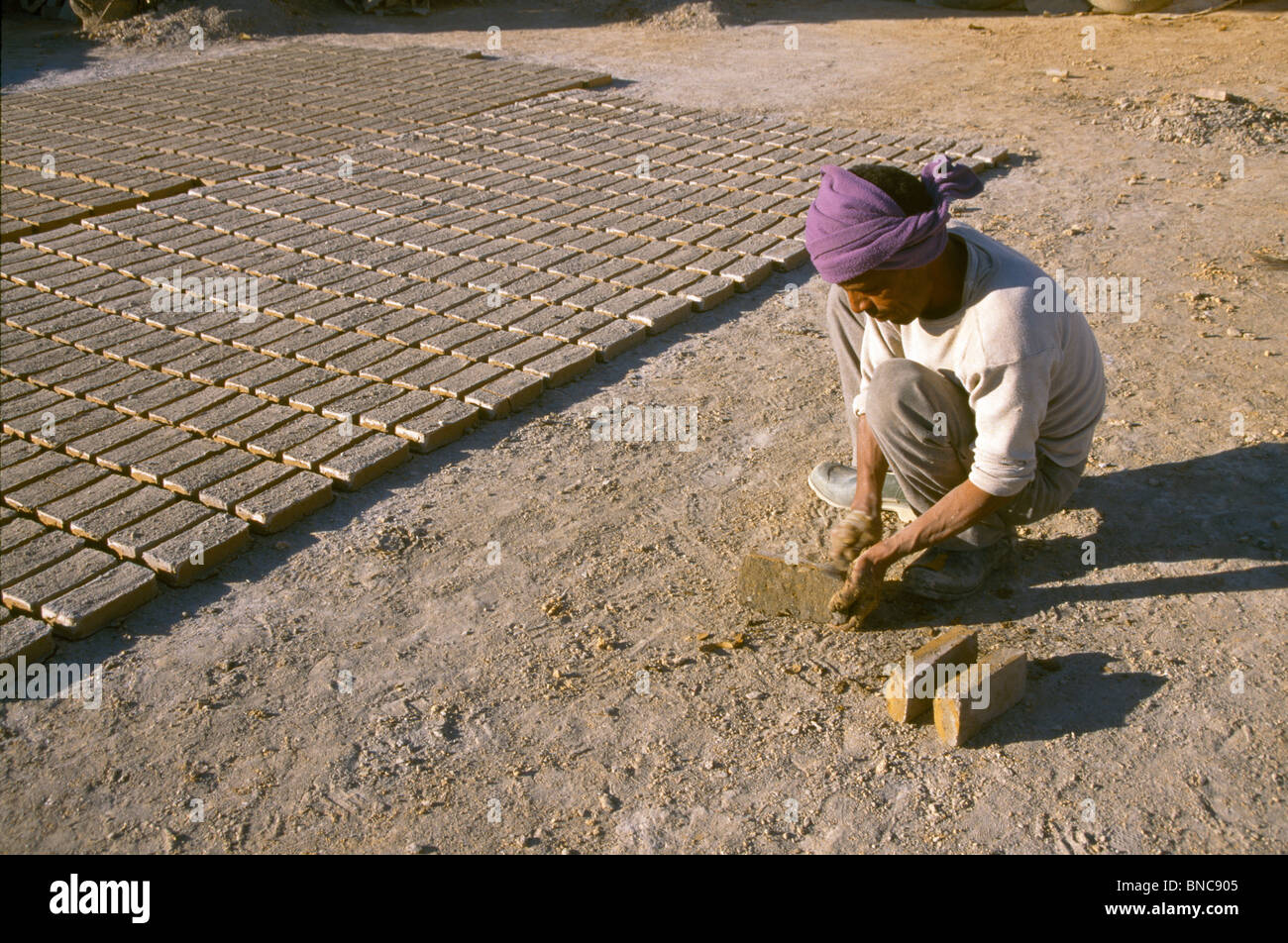 Nefta Tunisia Man Making Mud Bricks And Leaving Them To Dry In The Sun Stock Photo