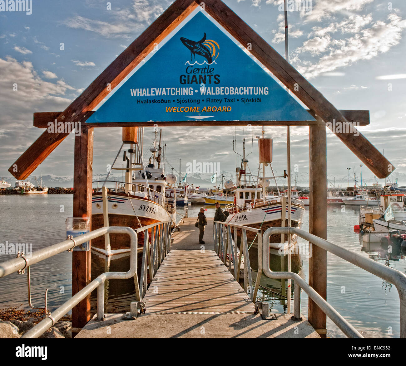 Whale watching destination hi-res stock photography and images - Alamy