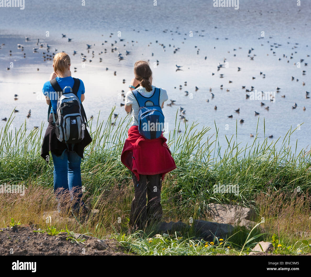 Girls enjoying the bird life. Snaefellsjokull Glacier in background, Snaefellsnes Peninsula, Iceland Stock Photo