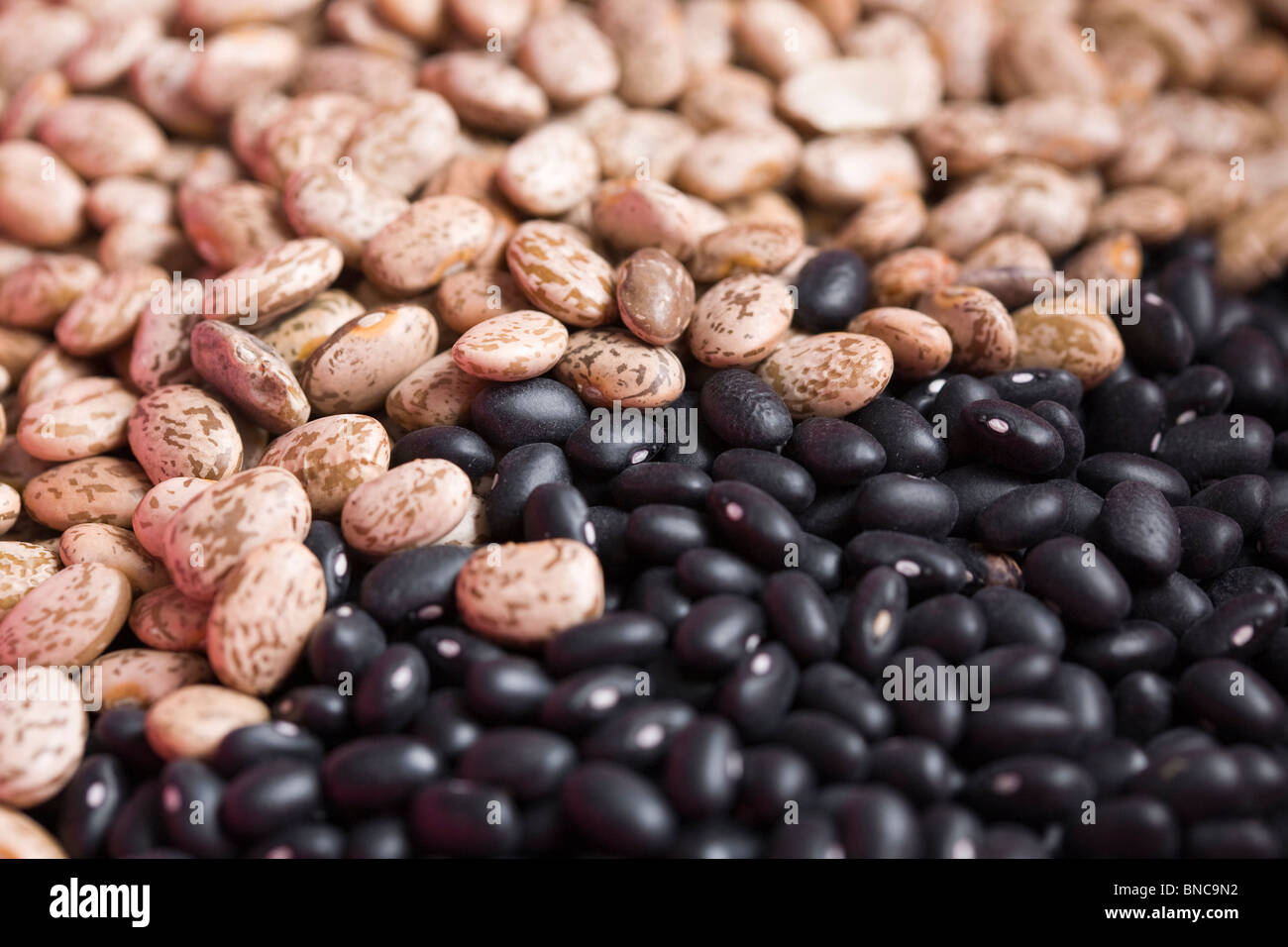Black beans and pinto beans Stock Photo - Alamy Black beans and pinto beans Stock Photo - Alamy