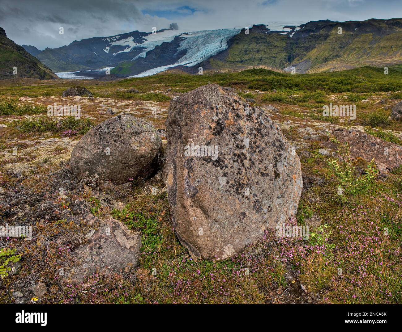 Lava boulders on tundra below glacier on Oraefajokull, Iceland Stock Photo