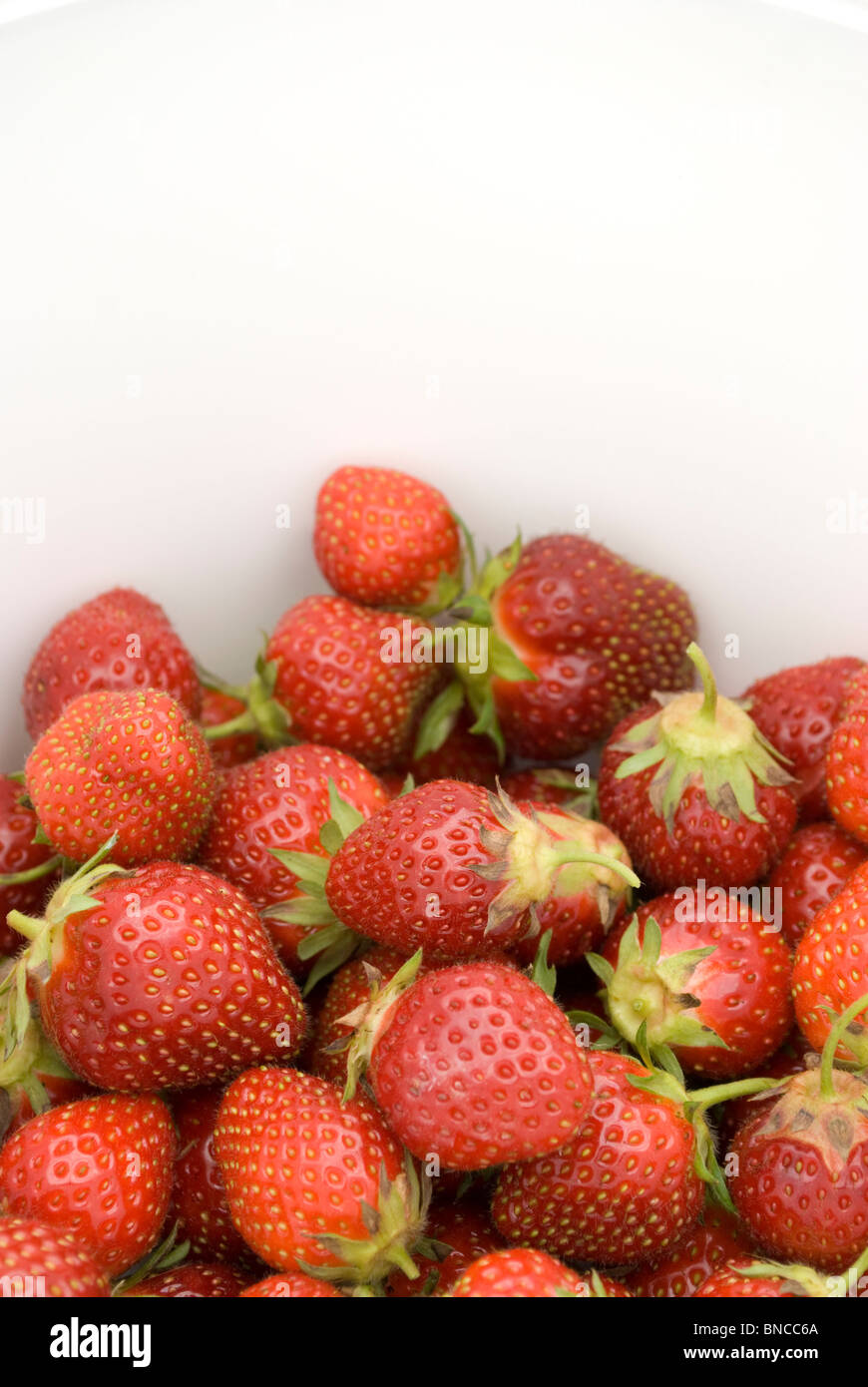 Strawberries in white bucket Stock Photo - Alamy