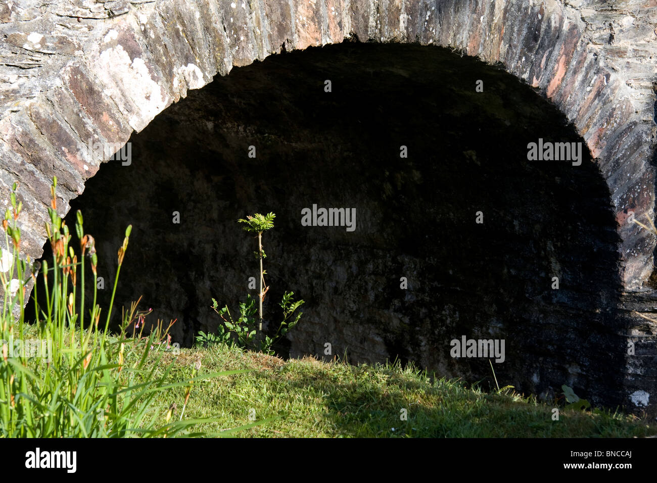 Green park under bridge hi-res stock photography and images - Alamy