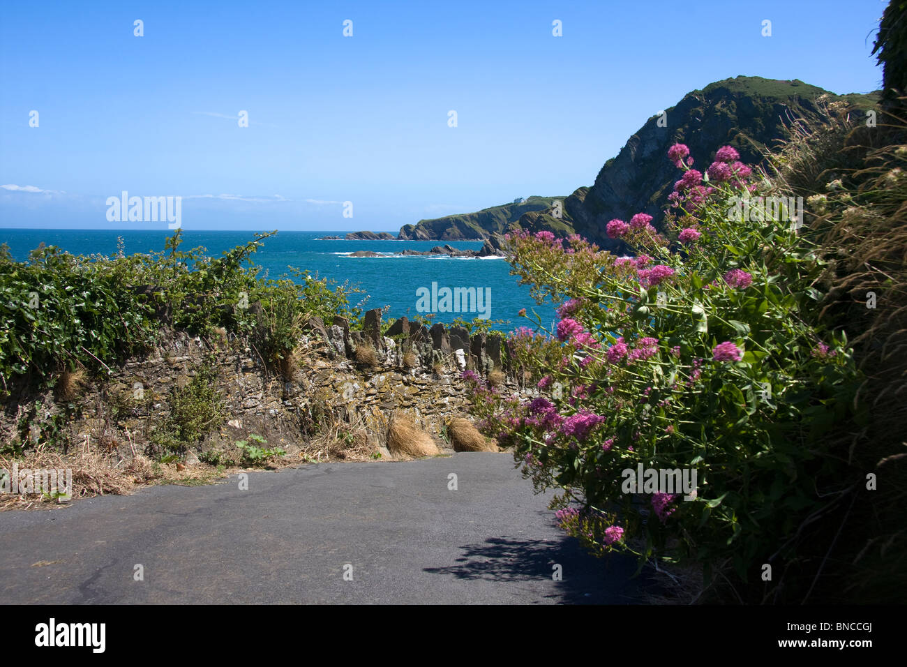 Sea view in Stock Photo Alamy