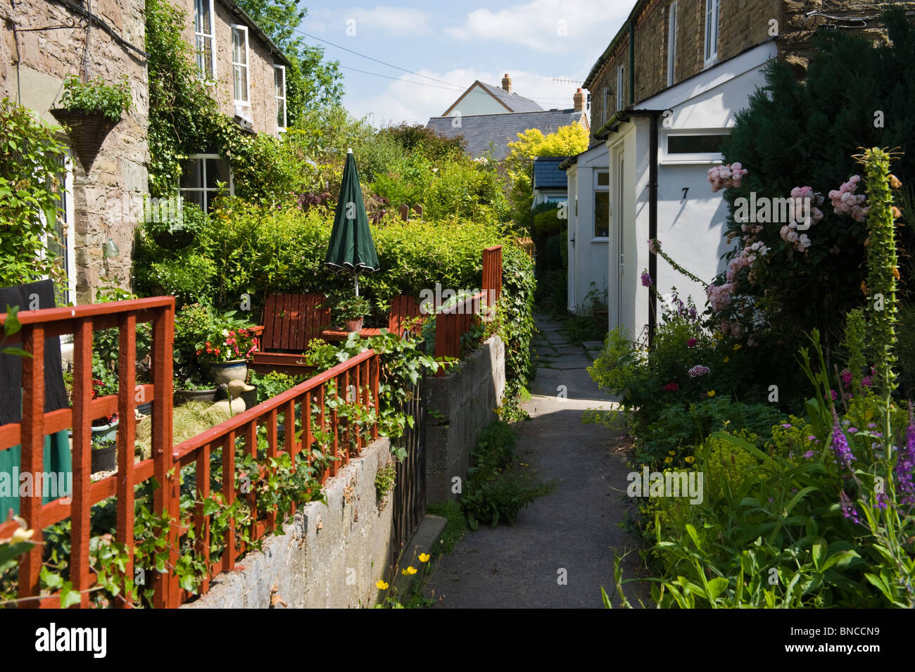 Picturesque garden cottages with footpath between in Hay-on-Wye Powys Wales UK Stock Photo