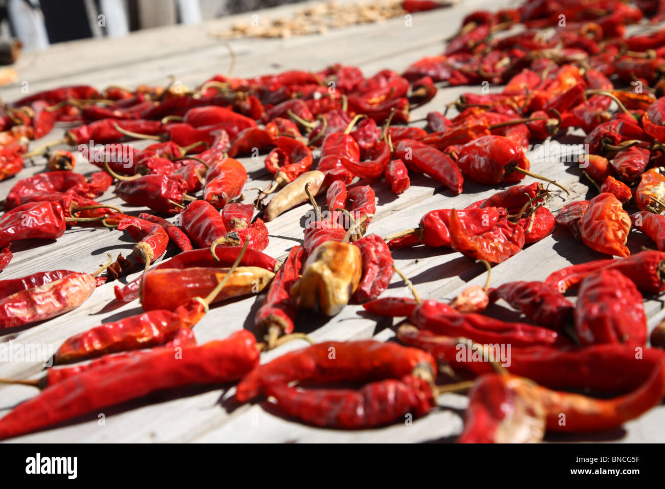 Chilli peppers laid out to dry in the sun in Paro, Bhutan Stock Photo ...