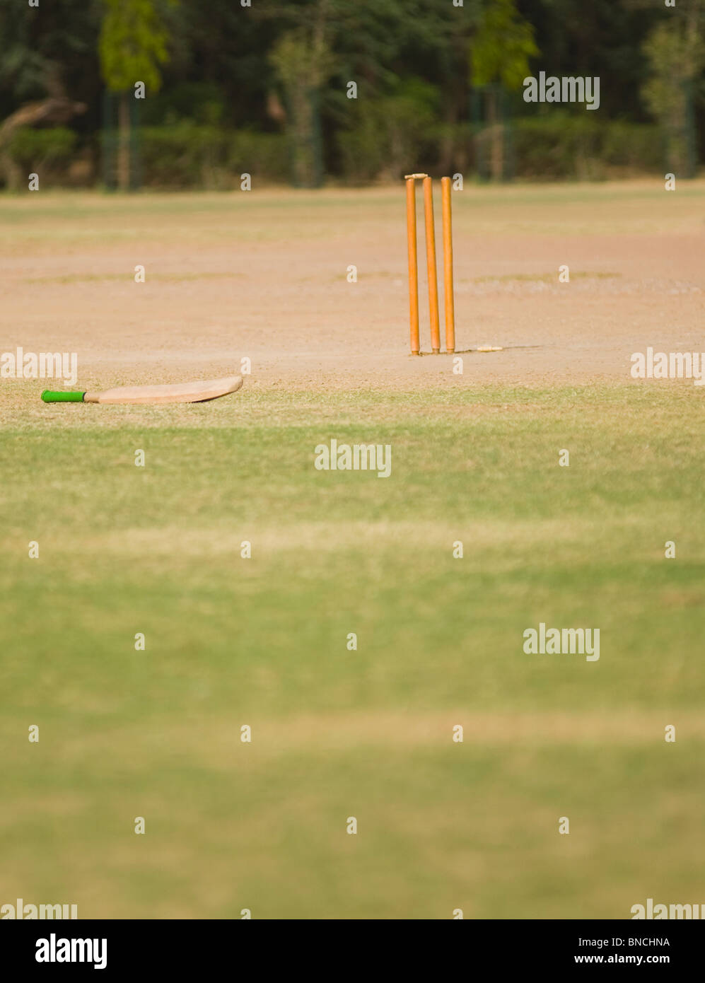 Sports equipment in a cricket field, New Delhi, India Stock Photo Alamy