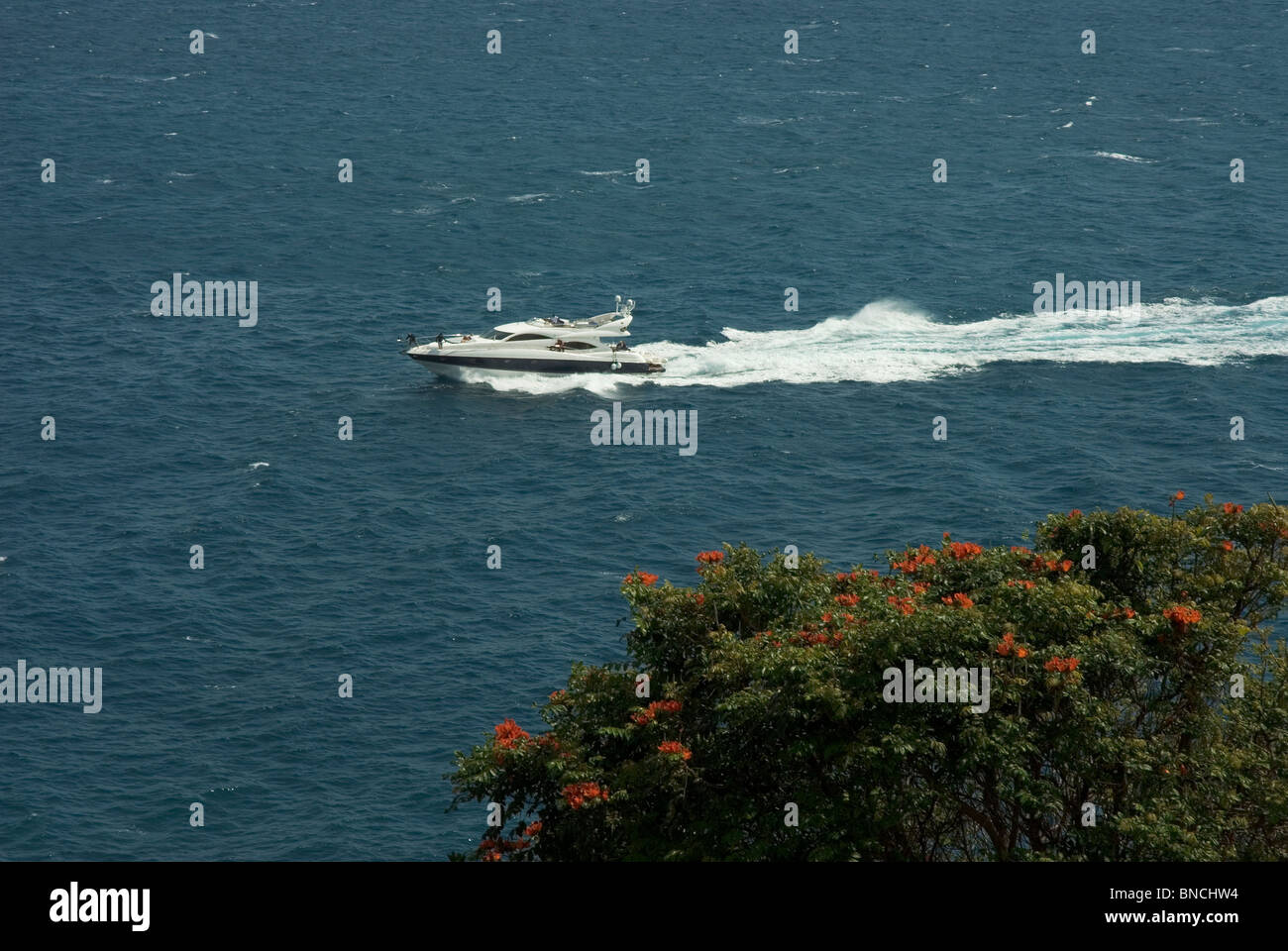 Speedboat in Madeira Stock Photo