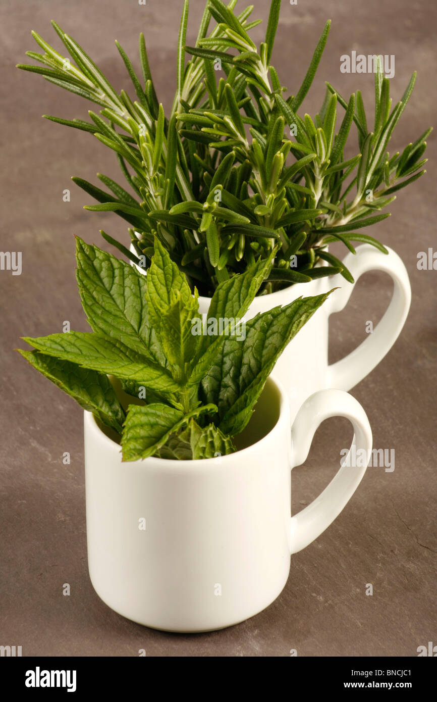 Fresh herbs in porcelain cups Stock Photo