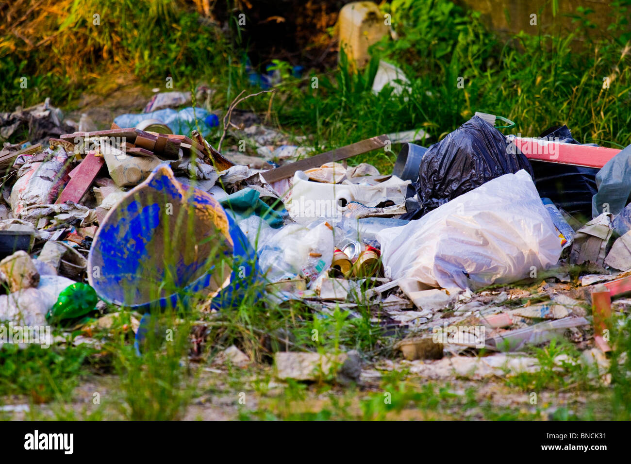 a pile of garbage bags lying on grass a garbage bin and a pile of cut  papaya tree Stock Photo - Alamy