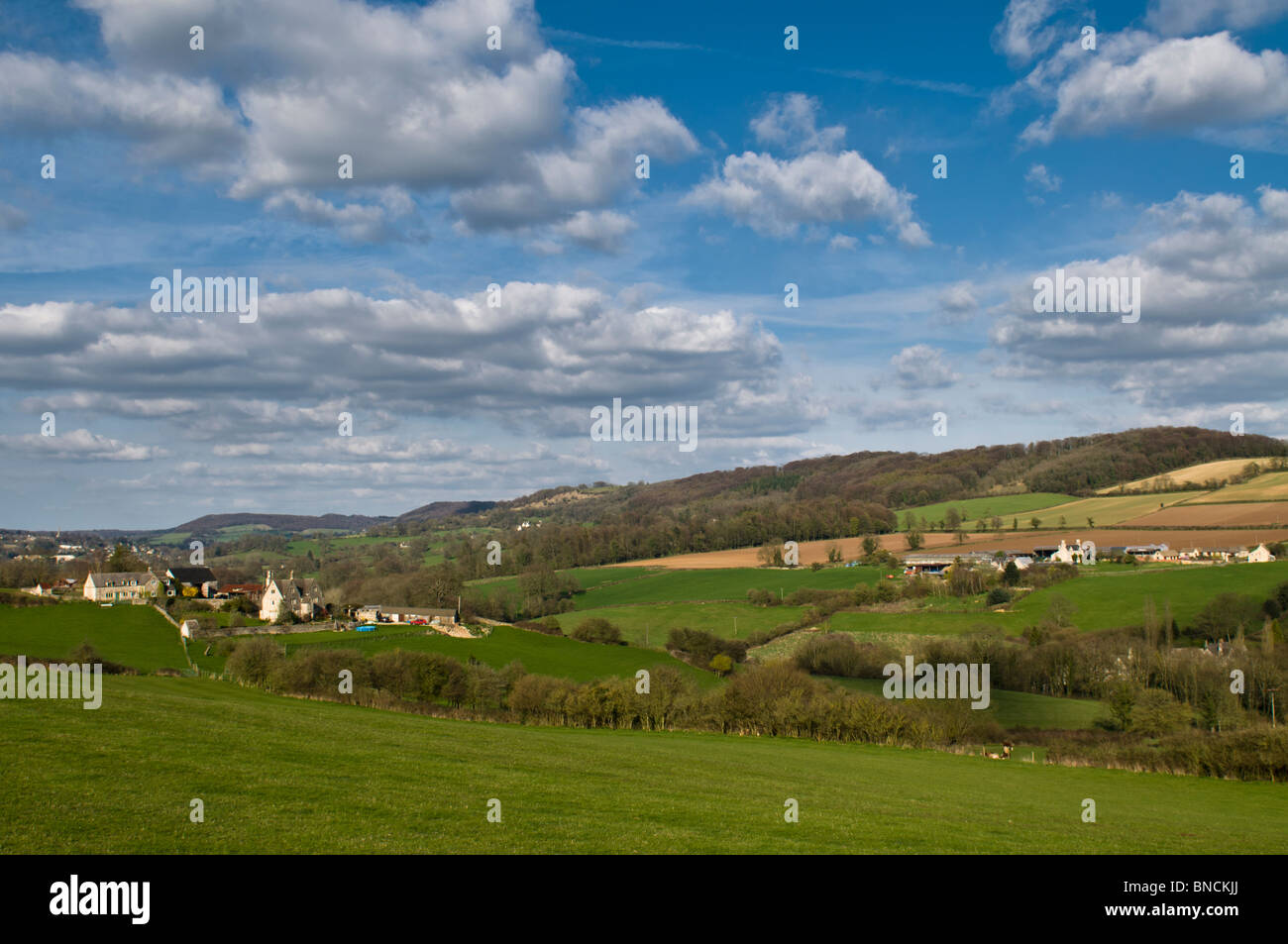 Rolling Cotswold hills, near Stroud, Gloucestershire, Cotswolds, UK Stock Photo