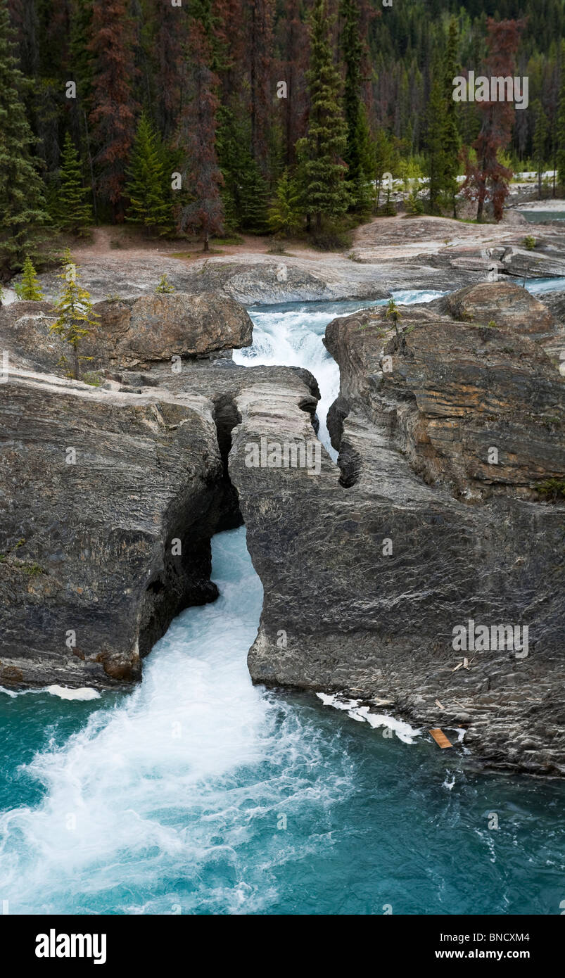Natural Bridge rock formation over Kicking Horse River. Yoho National