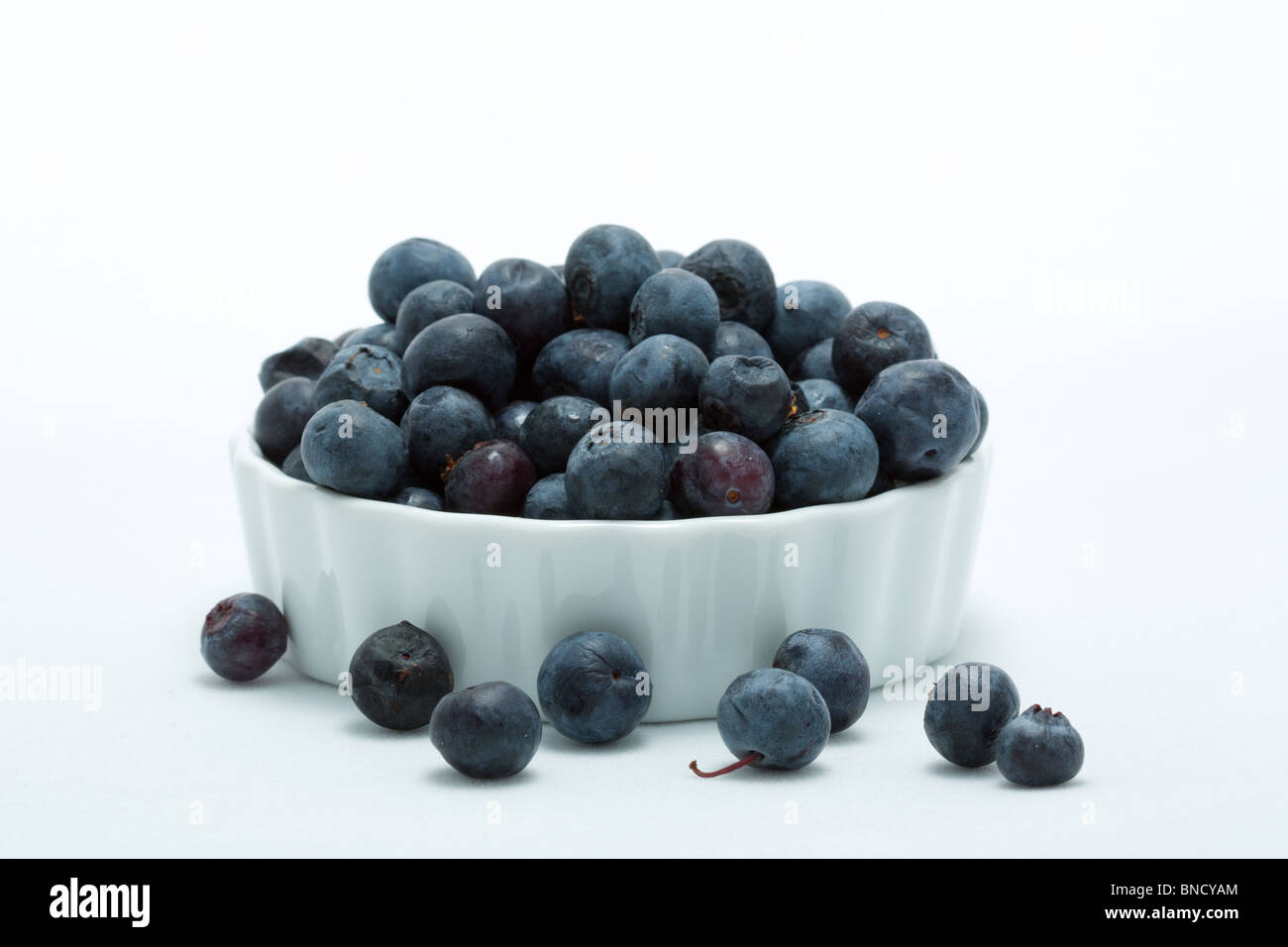 Blueberries in a white ramekin. Stock Photo