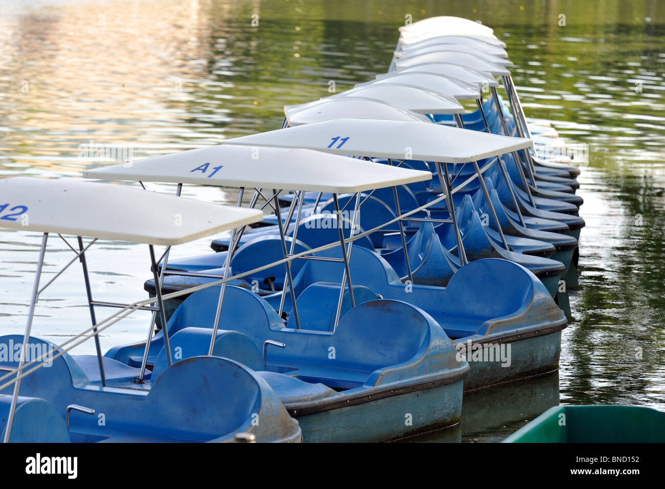 swan boats lumpini park swan paddle boat stock photos swan paddle boat stock swan boats lumpini park swan paddle boat stock photos swan paddle boat stock