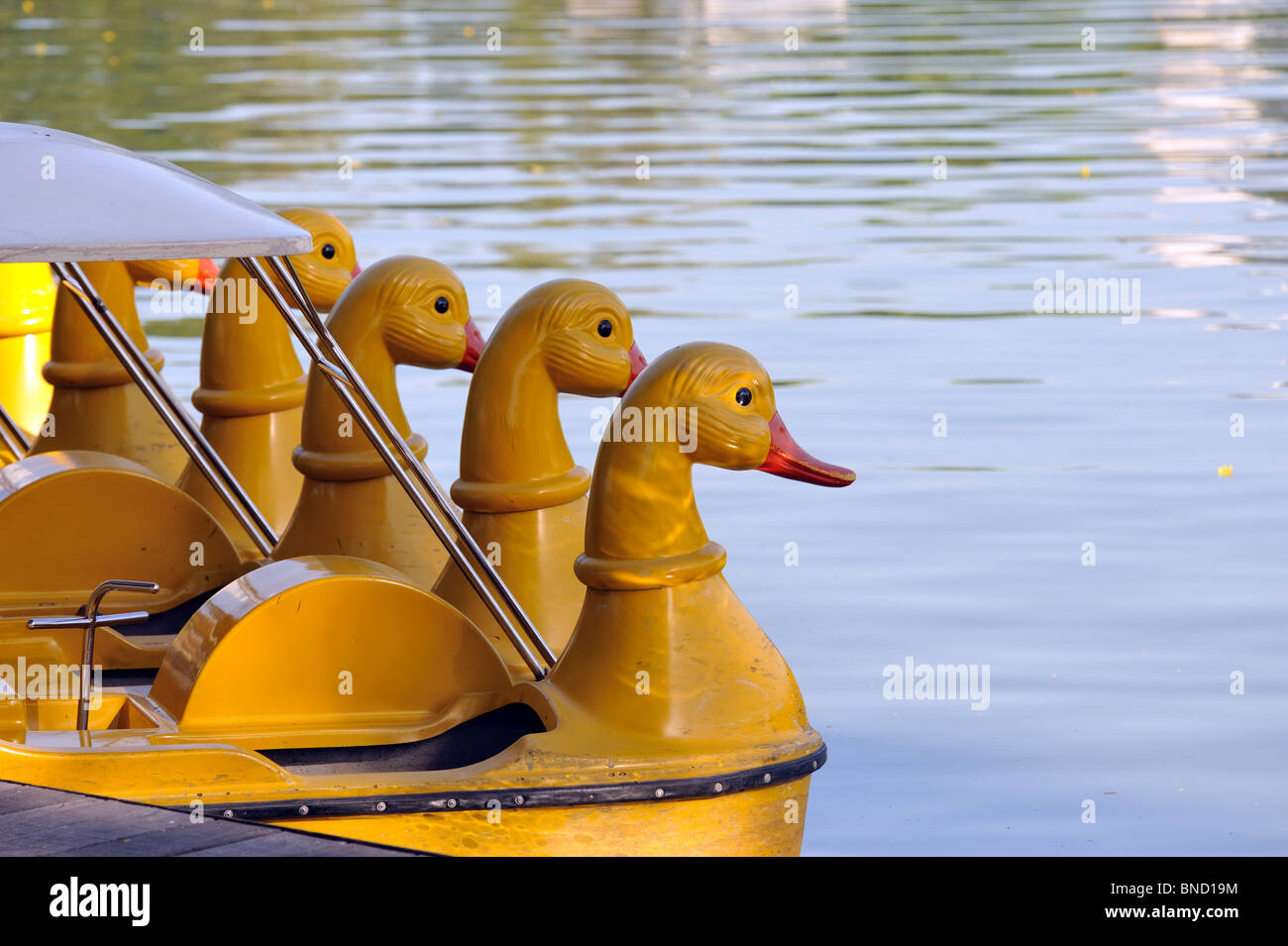 rubber duck paddle boat