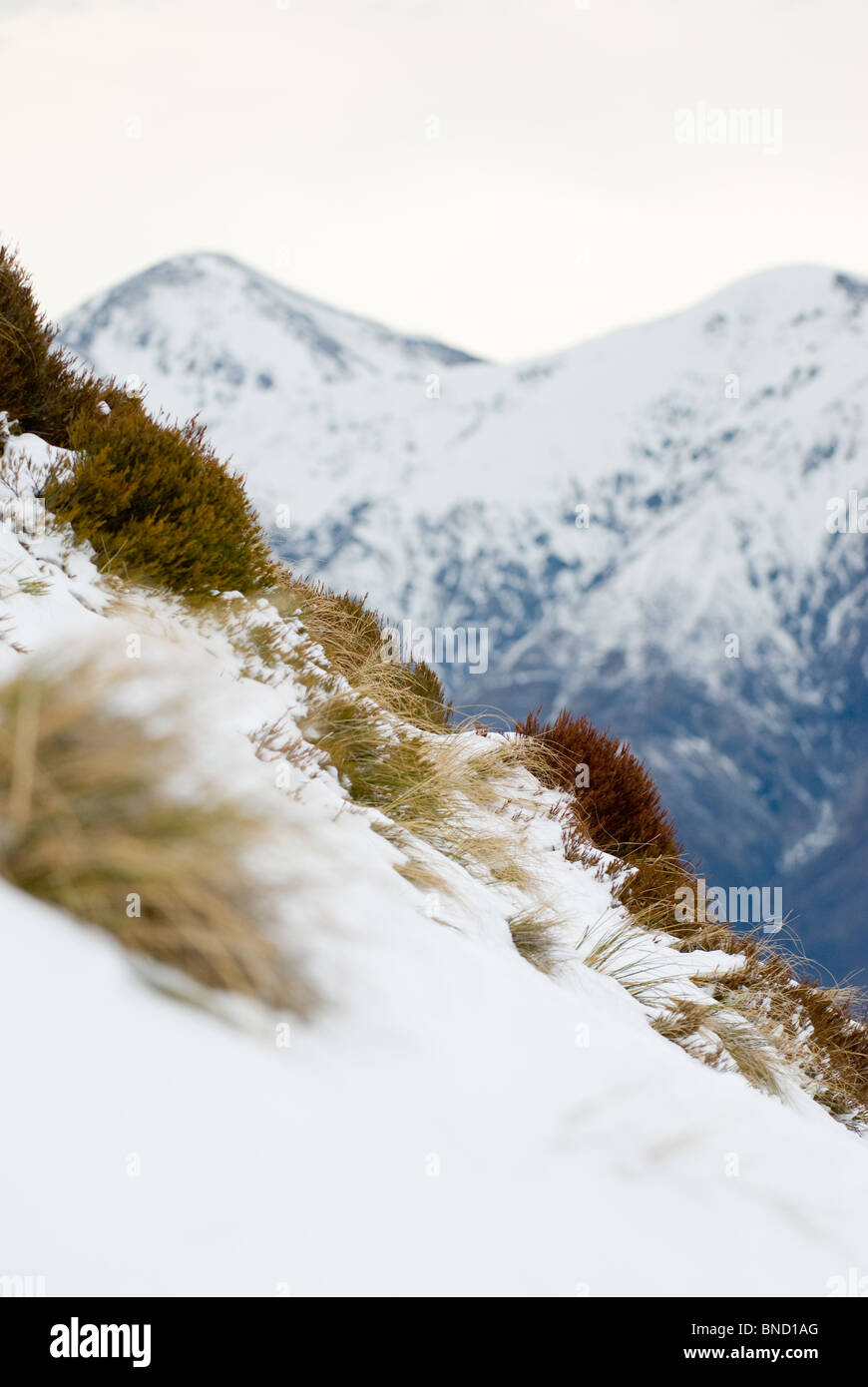 Winter time New Zealand Stock Photo