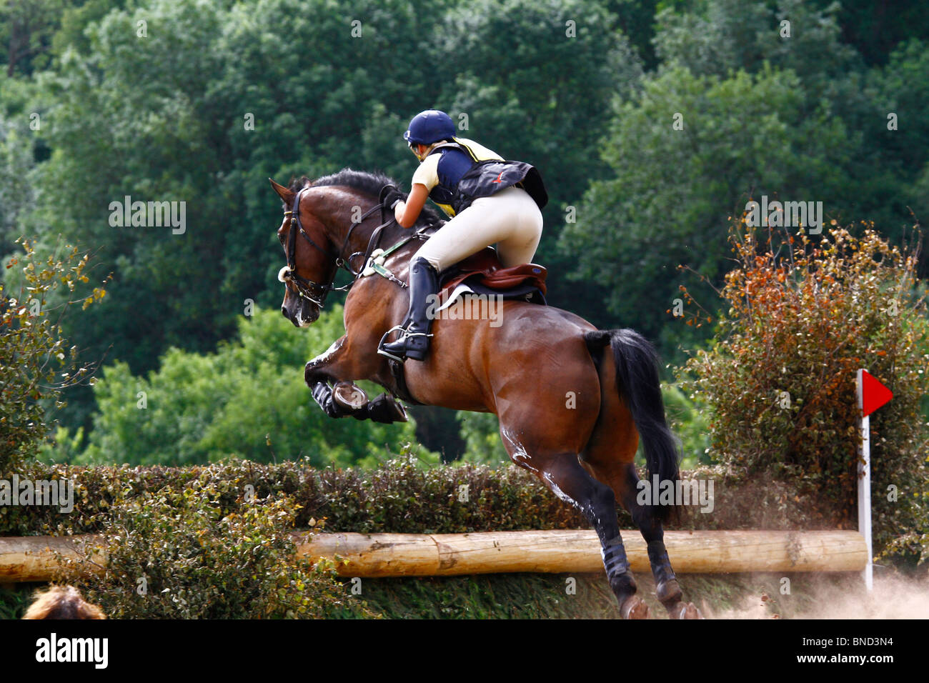 Horse and rider jumping cross country course at Glanusk Horse Trials in Wales Stock Photo