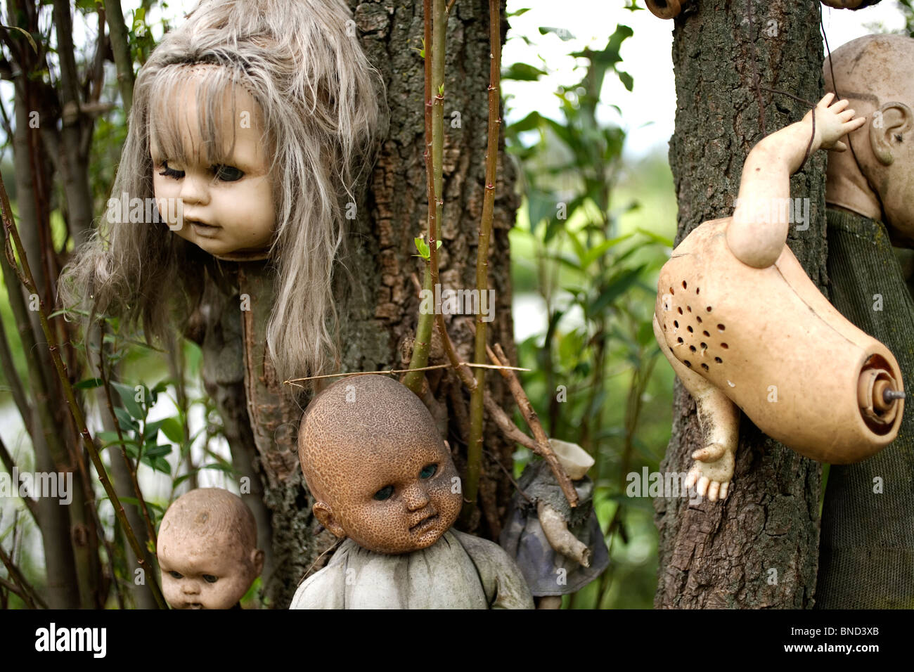 Island of the dolls, xochimilco, mexico hires stock photography and