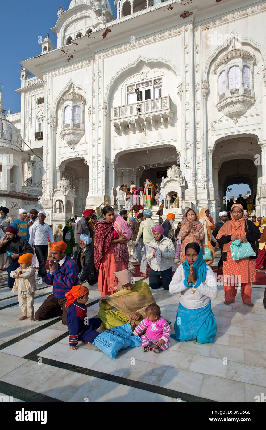 Sikh devotees praying. The Golden Temple. Punjab. India Stock Photo