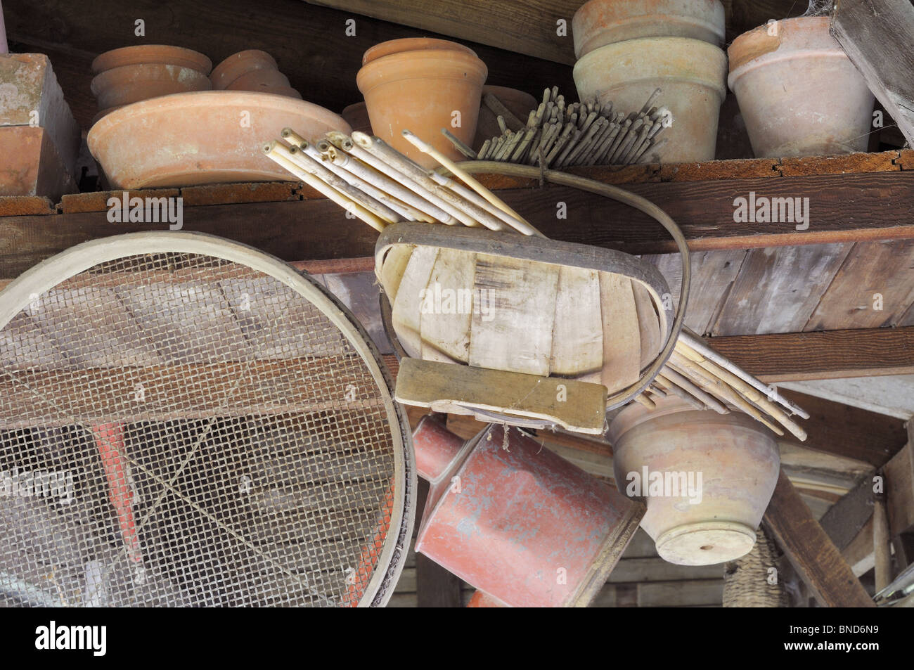 Large potting shed storage area with trug, canes, sieve, watering can and pots, UK, April Stock Photo