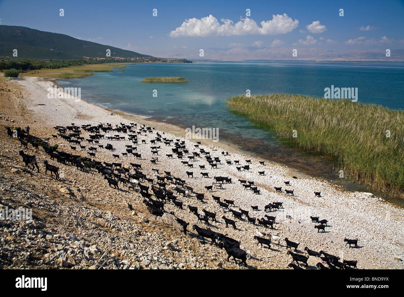 Beysehir lake hires stock photography and images Alamy