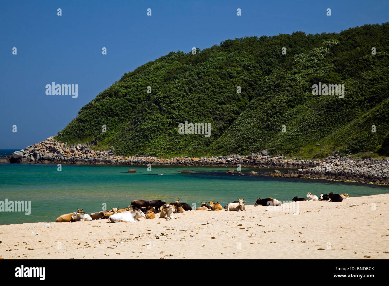 Scenic view of Black Sea coast around Yalikoy Kirklareli Turkey Stock Photo