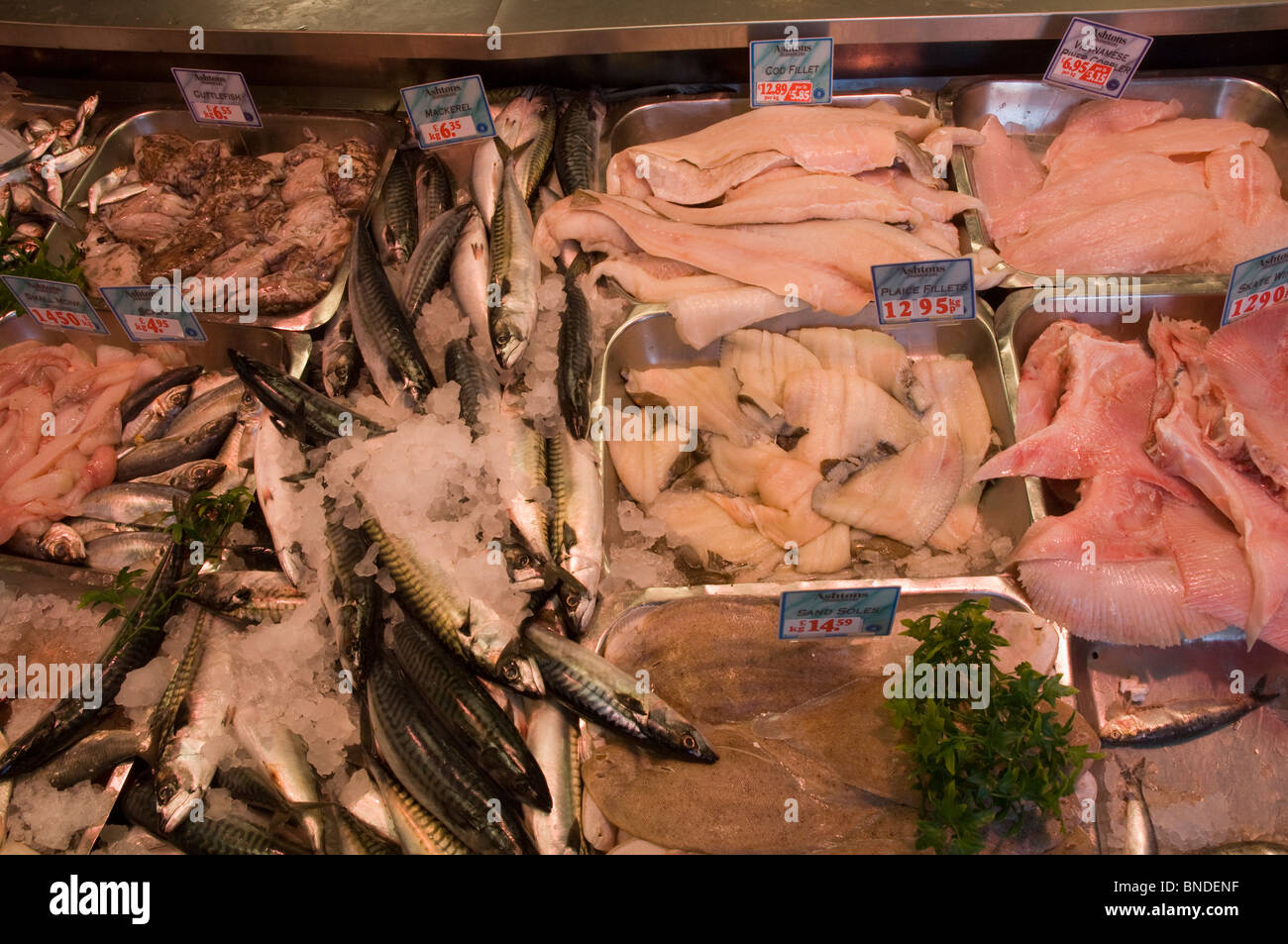 Consumer fish hires stock photography and images Alamy