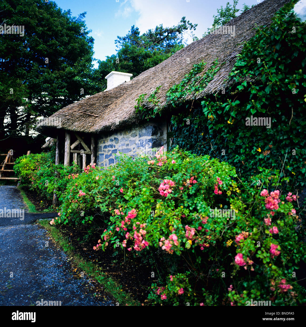 Flowered thatched cottage, 'Maam Cross', Connemara, County Galway, Republic of Ireland Stock Photo
