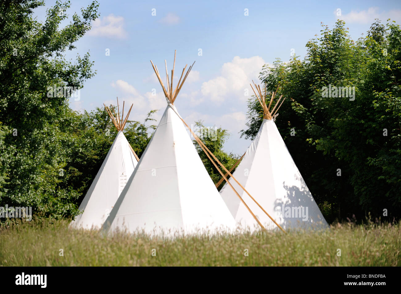 Luxury wigwam camping accommodation  UK Stock Photo