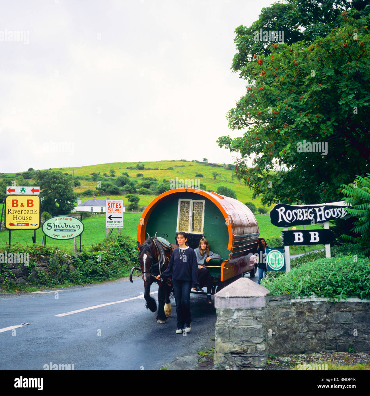 Girl leading horse drawn gypsy caravan on country road, County Mayo