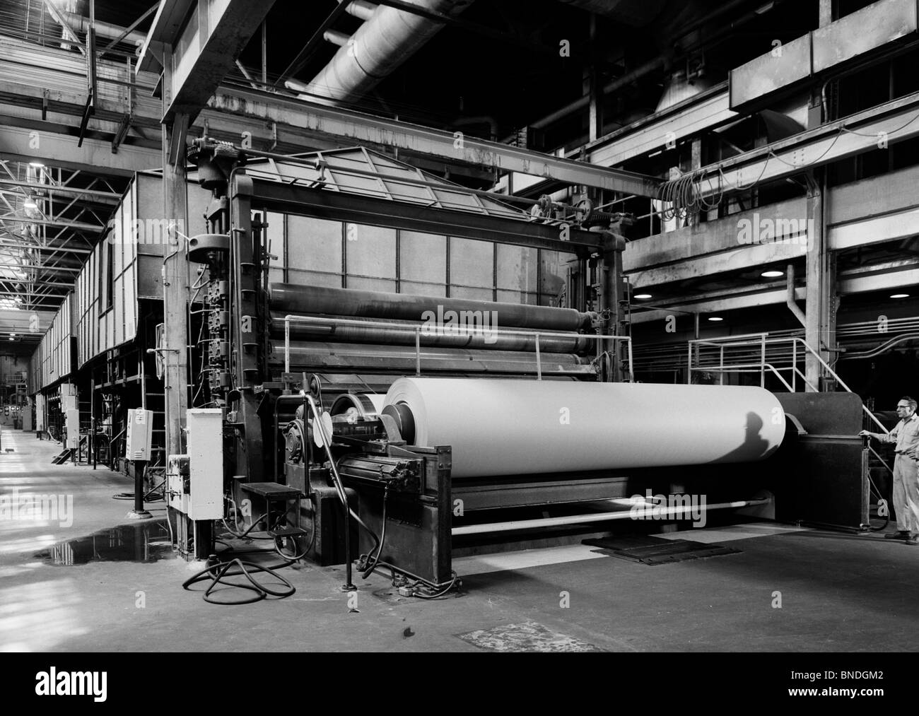 Man working in paper mill Stock Photo Alamy