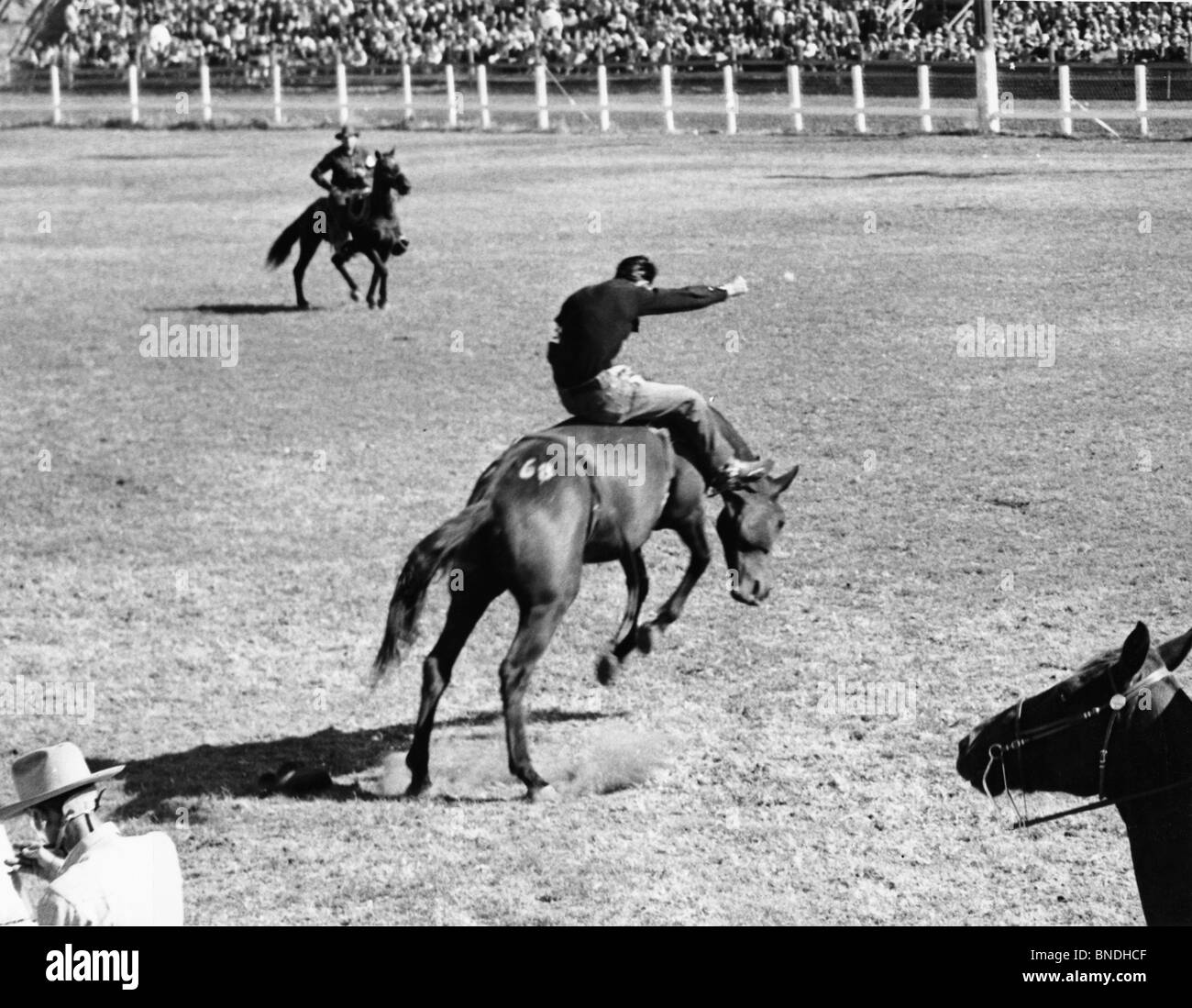 Cowboy riding a bucking horse in a rodeo Stock Photo