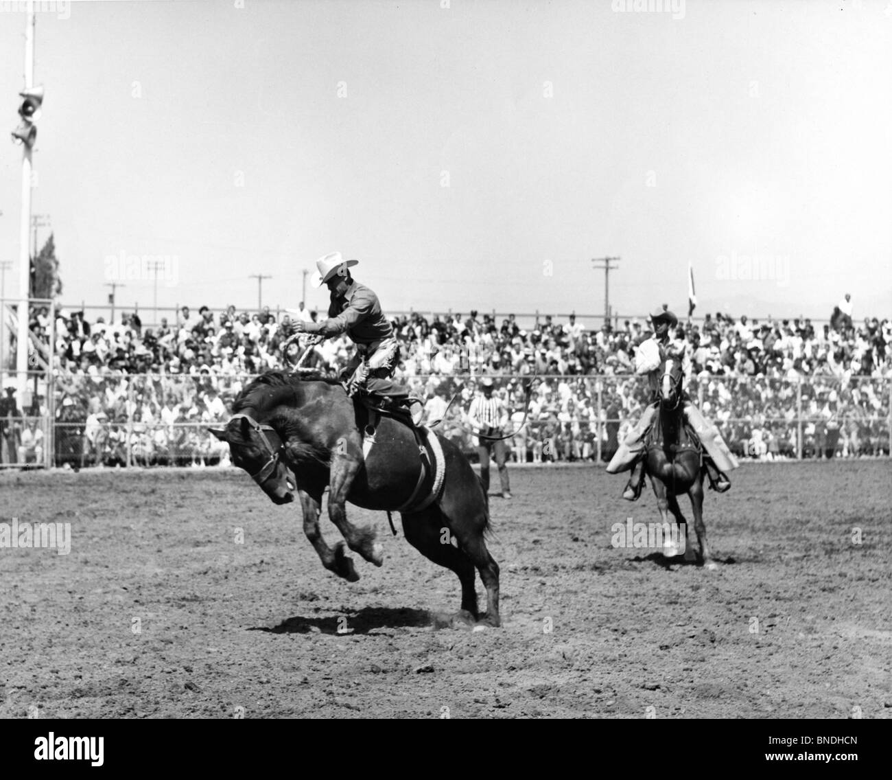 Two cowboys riding bucking horses in a rodeo Stock Photo