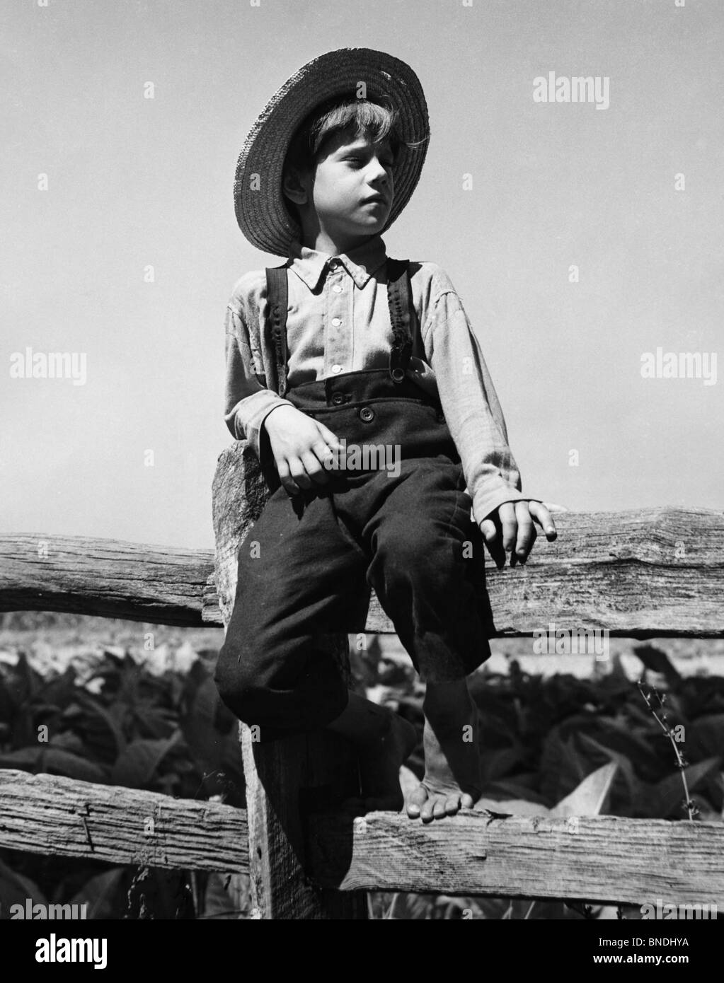 Amish boy Black and White Stock Photos & Images - Alamy