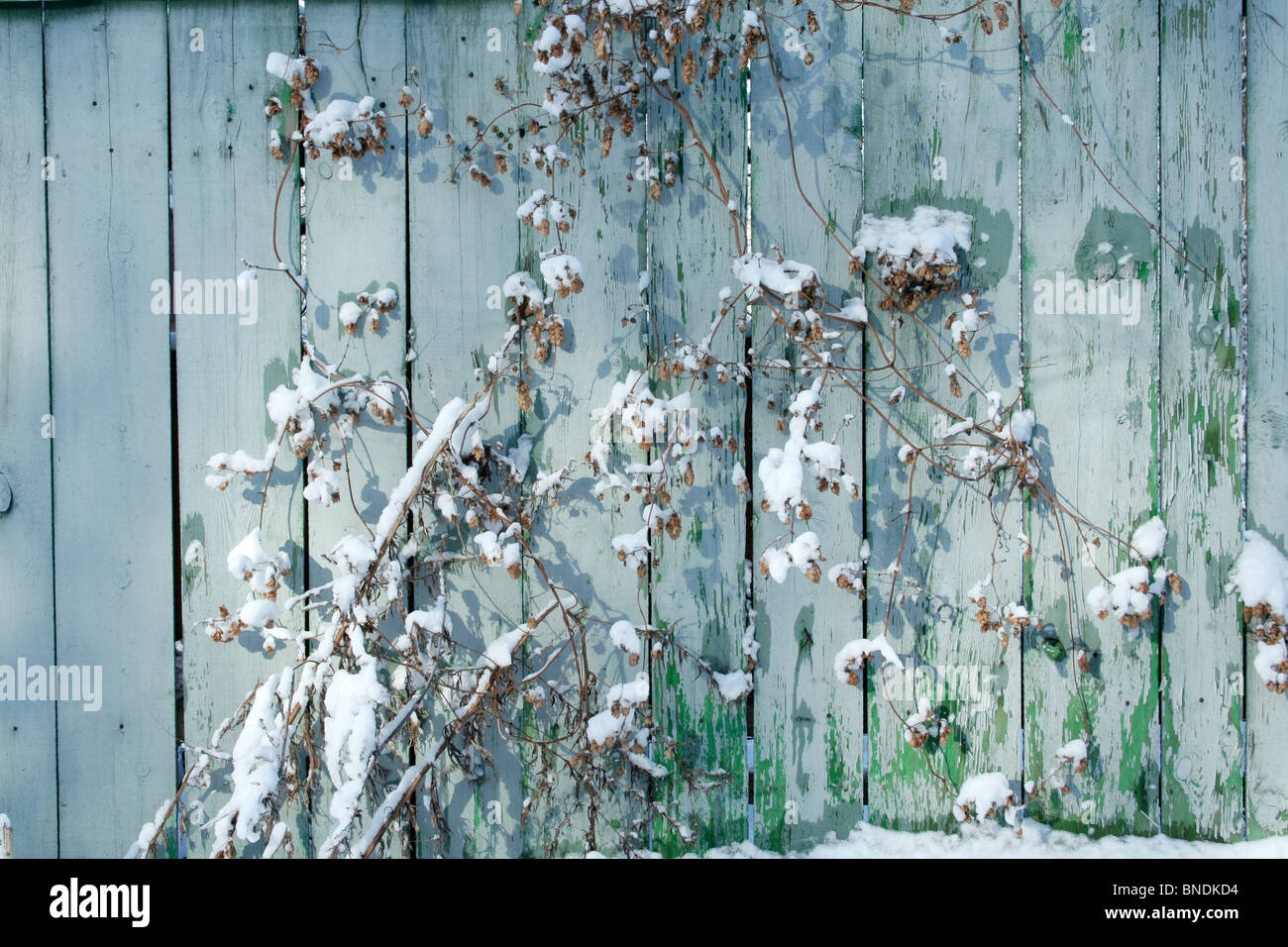 Old wood fence Stock Photo - Alamy