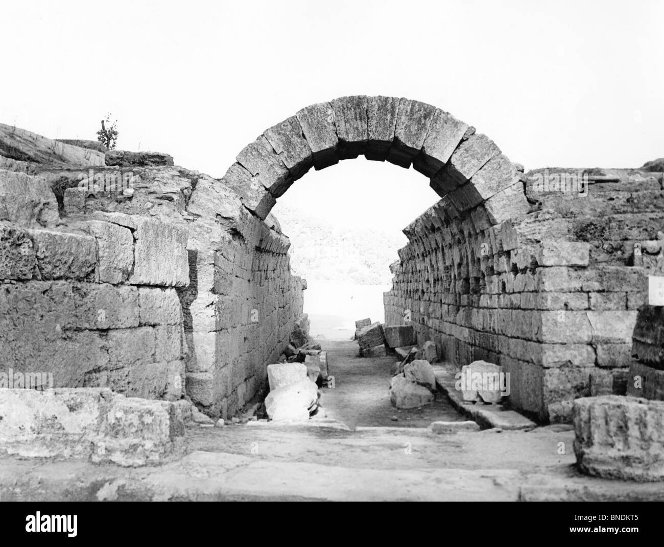 Olympia main image 0