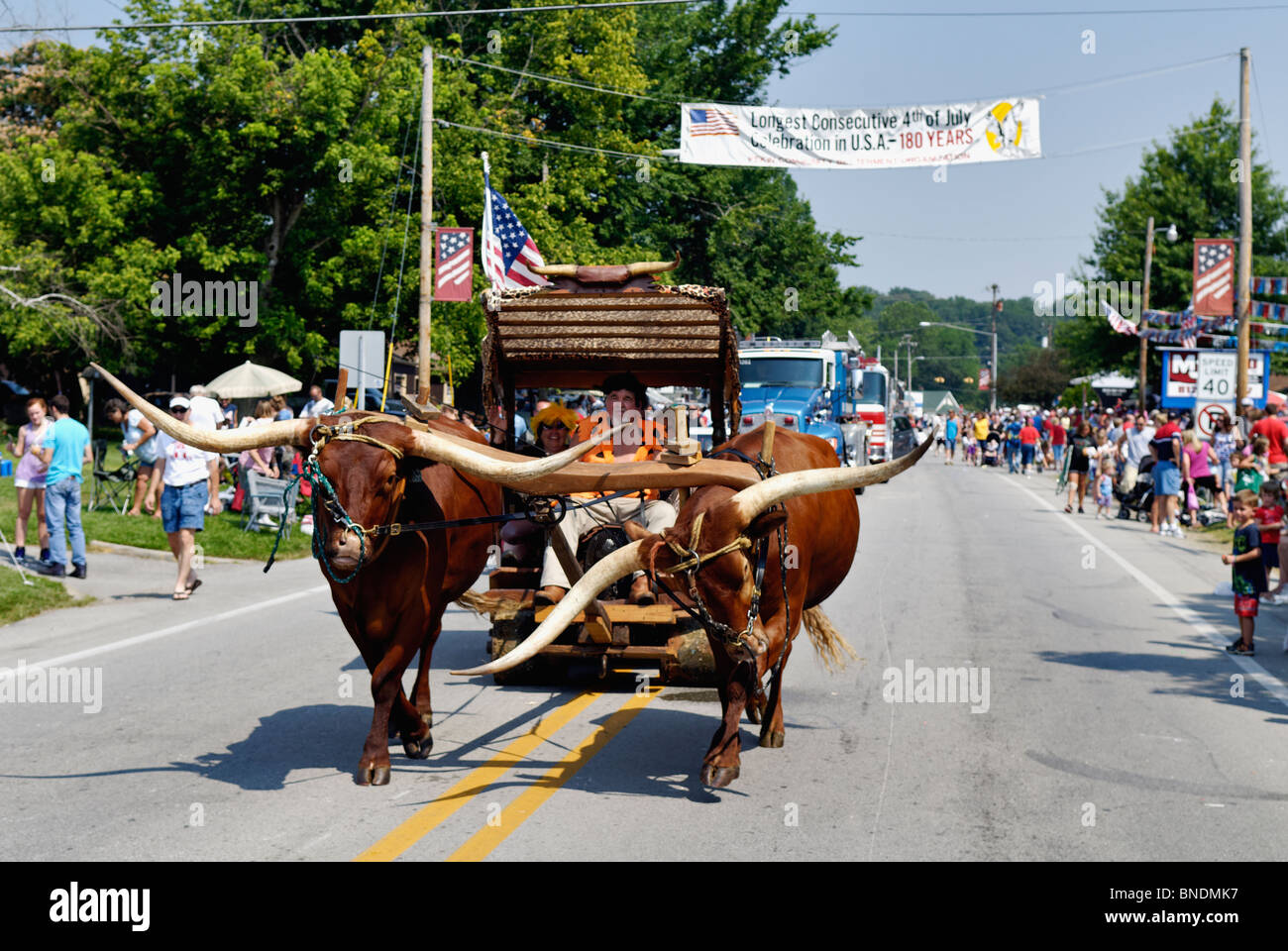 Man Dressed as Fred Flintstone Driving Oxen in Oldest Continuous Independence Day Parade in America in Pekin, Indiana Stock Photo