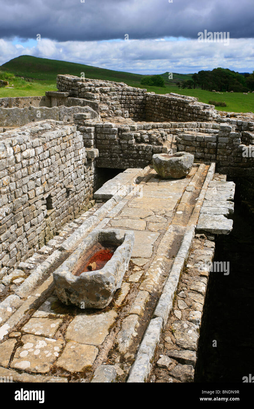 Latrines housesteads hires stock photography and images Alamy