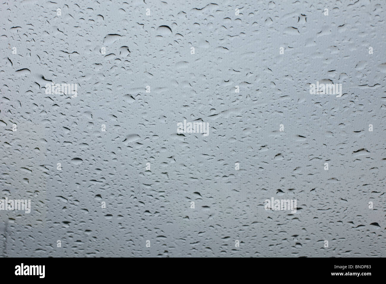 Raindrops on the glass window of a car Stock Photo