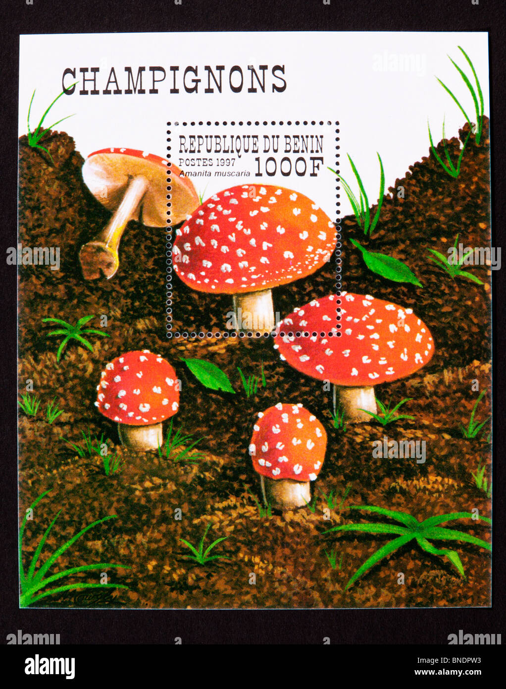 Souvenir sheet from Benin depicting fly agaric mushrooms (Amanita muscaria). Stock Photo