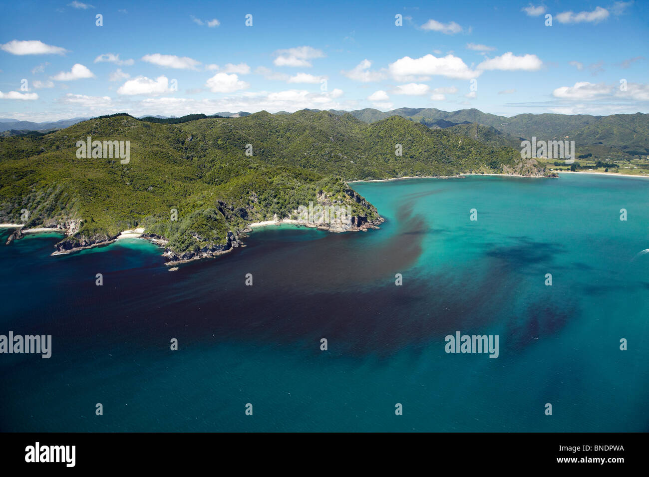 Algal Bloom, Kennedy Bay, Coromandel Peninsula, North Island, New Zealand - aerial Stock Photo