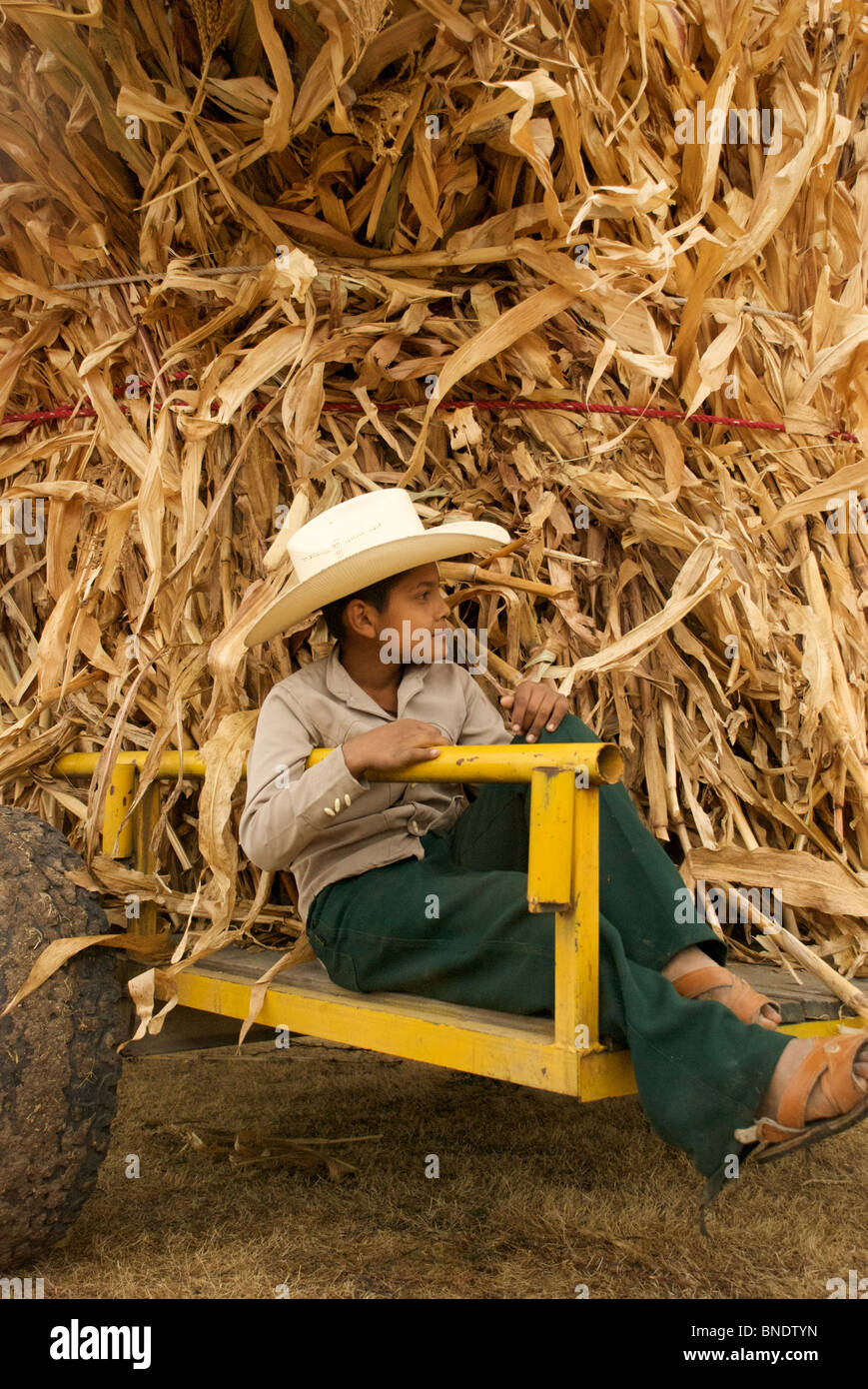 A young farm boy rides the tractor home after bringing in the harvest with his family in rural Mexico. Stock Photo