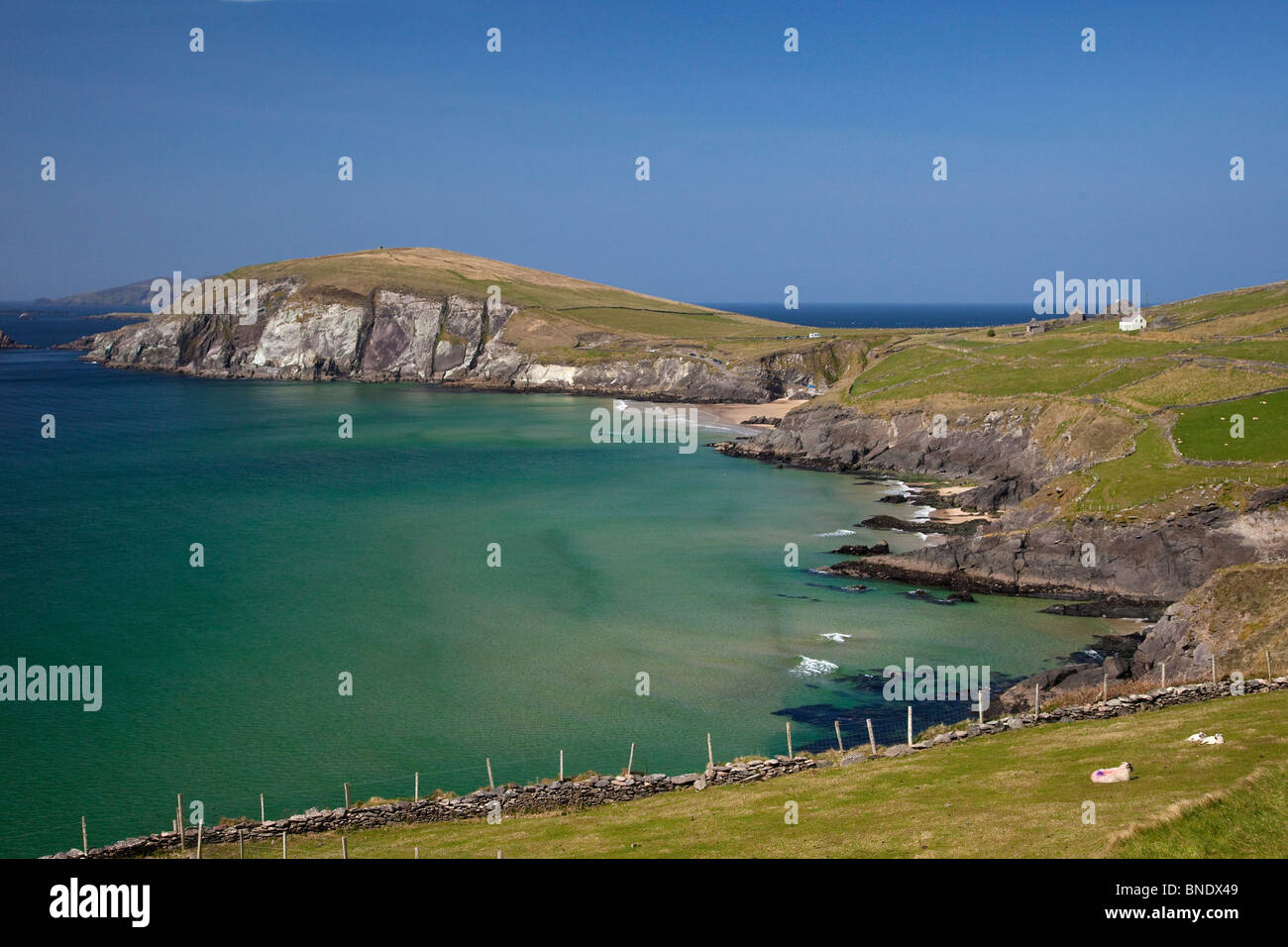 Slea Head Dingle Peninsula County Co. Kerry in spring sunshine Republic of Ireland Eire Europe Stock Photo