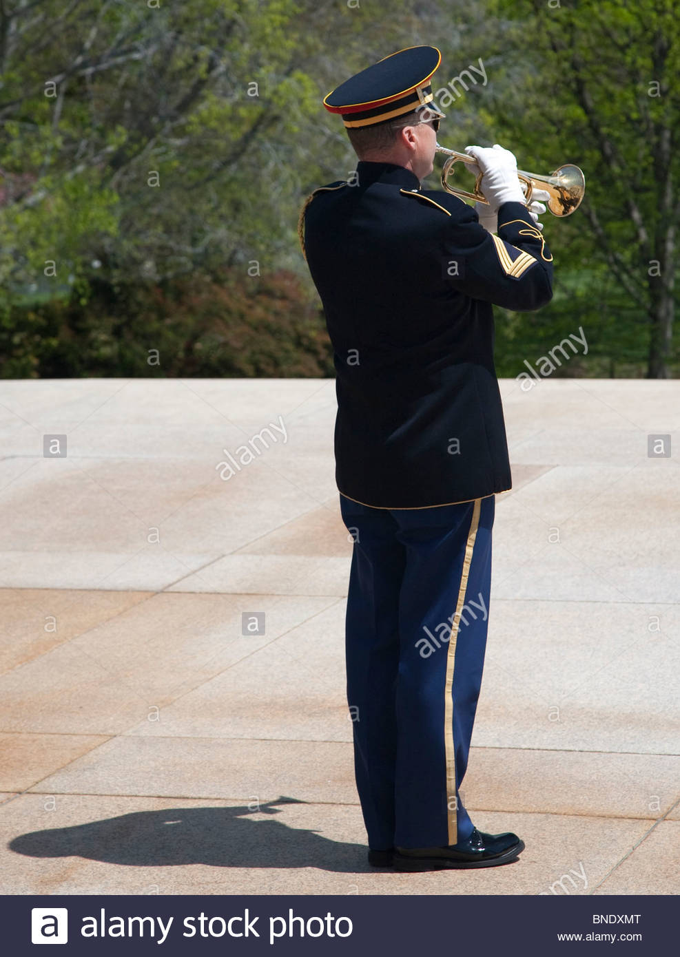 Bugle Military Stock Photos & Bugle Military Stock Images Alamy