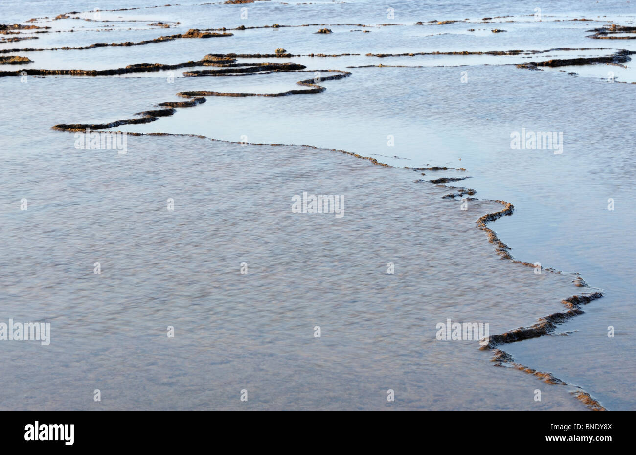 Patterns in the rock along the shore, Mission Rocks, Isimangaliso Wetland Park, Kwazulu-Natal, South Africa Stock Photo