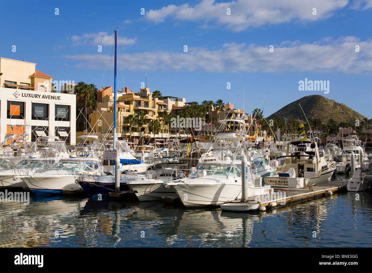 Boats at a marina, Cabo San Lucas, Baja California, Mexico Stock Photo ...