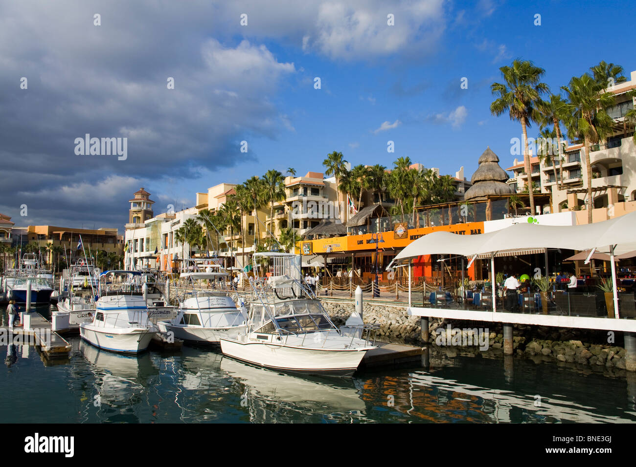 Boats at a marina, Cabo San Lucas, Baja California, Mexico Stock Photo ...