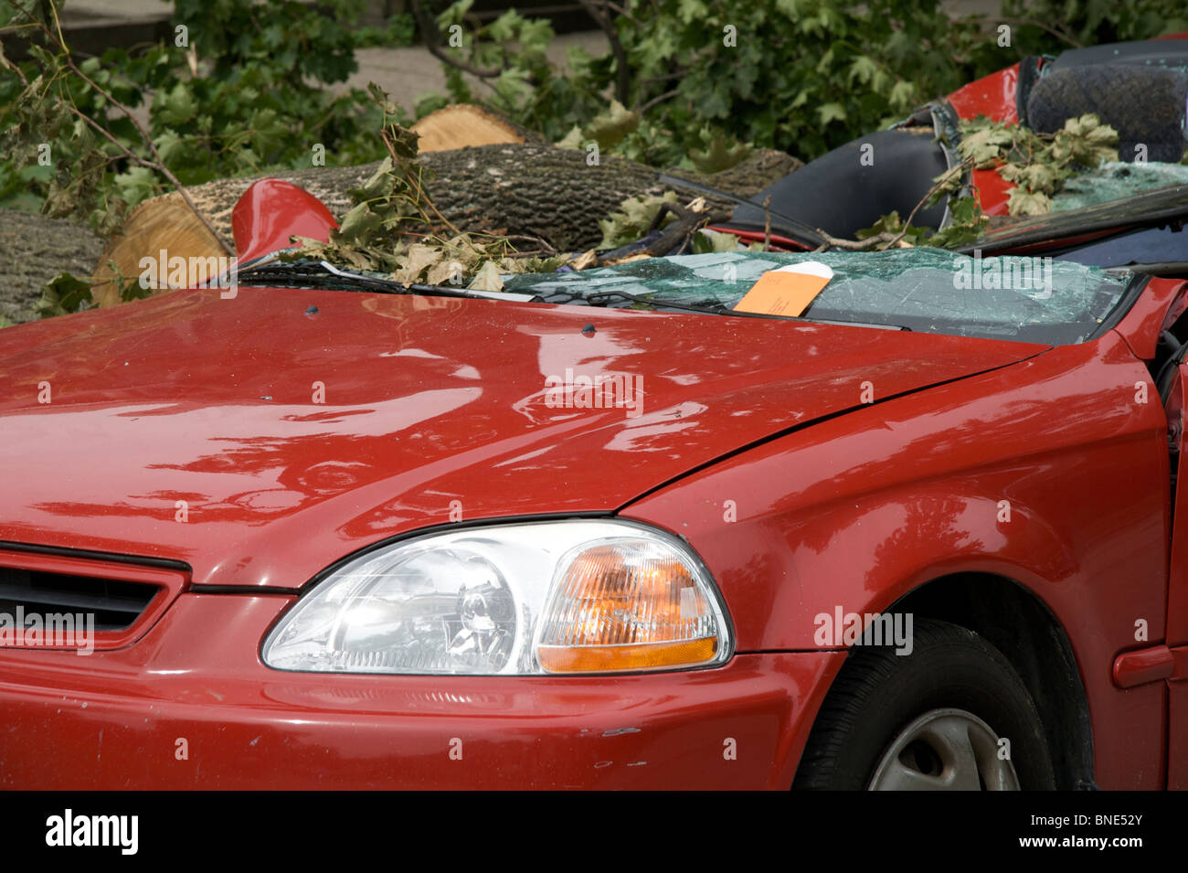 Honda Civic crushed by fallen tree after windstorm. Stock Photo